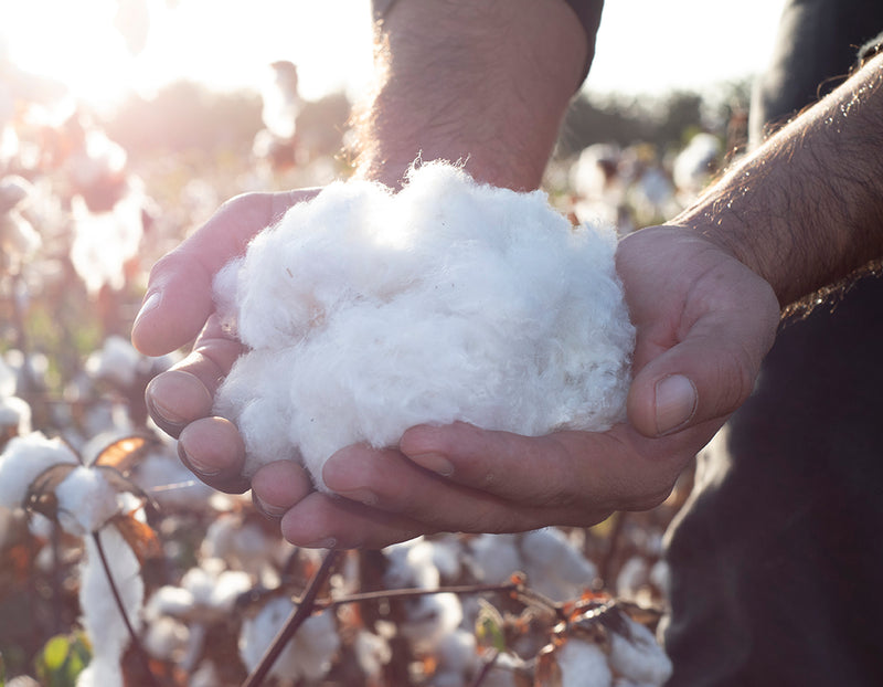 Pima vs Supima cotton. What's the difference?