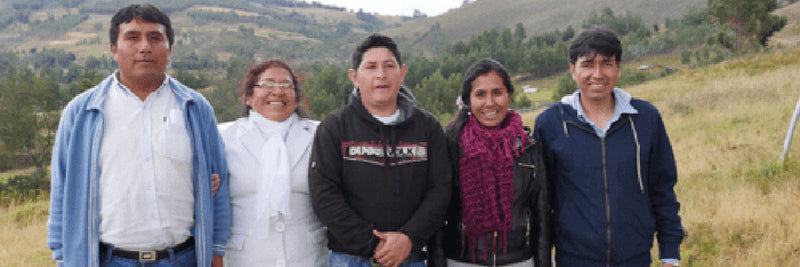 Teachers in Peru