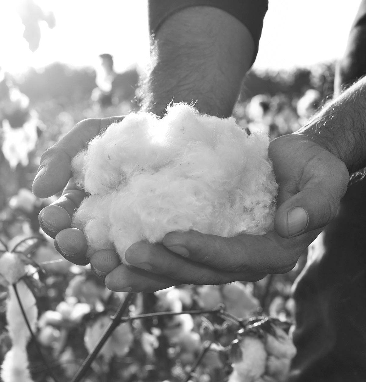 organic pima cotton clothing from peru - ethically made fair trade