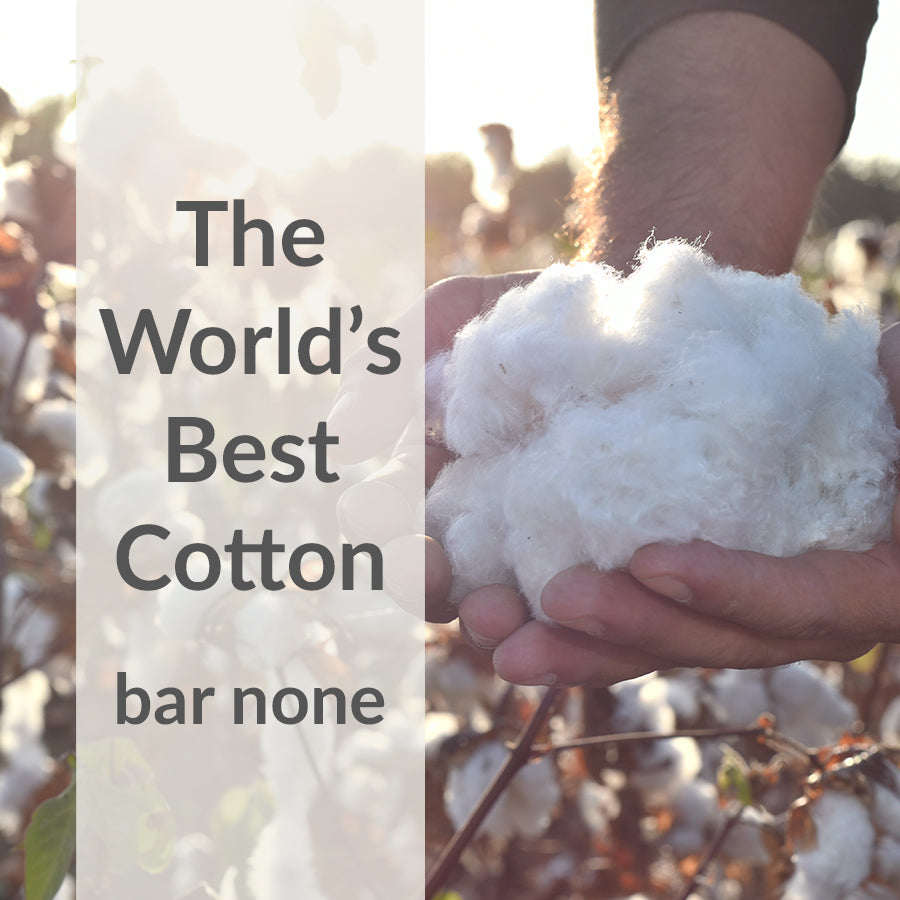 organic pima cotton clothing for women and men